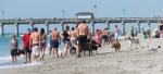 img_8053