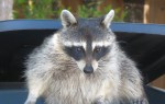 img_8058