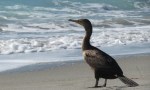 img_8074