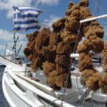 29472743_10156209620792442_3018787338762419179_n